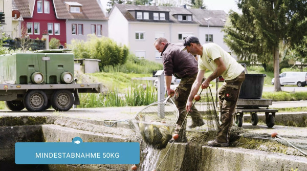 Vom Fischteich zum Erlebnisort 