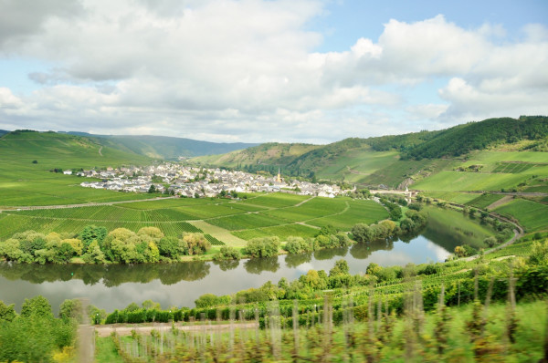 Genuss an der Mosel 